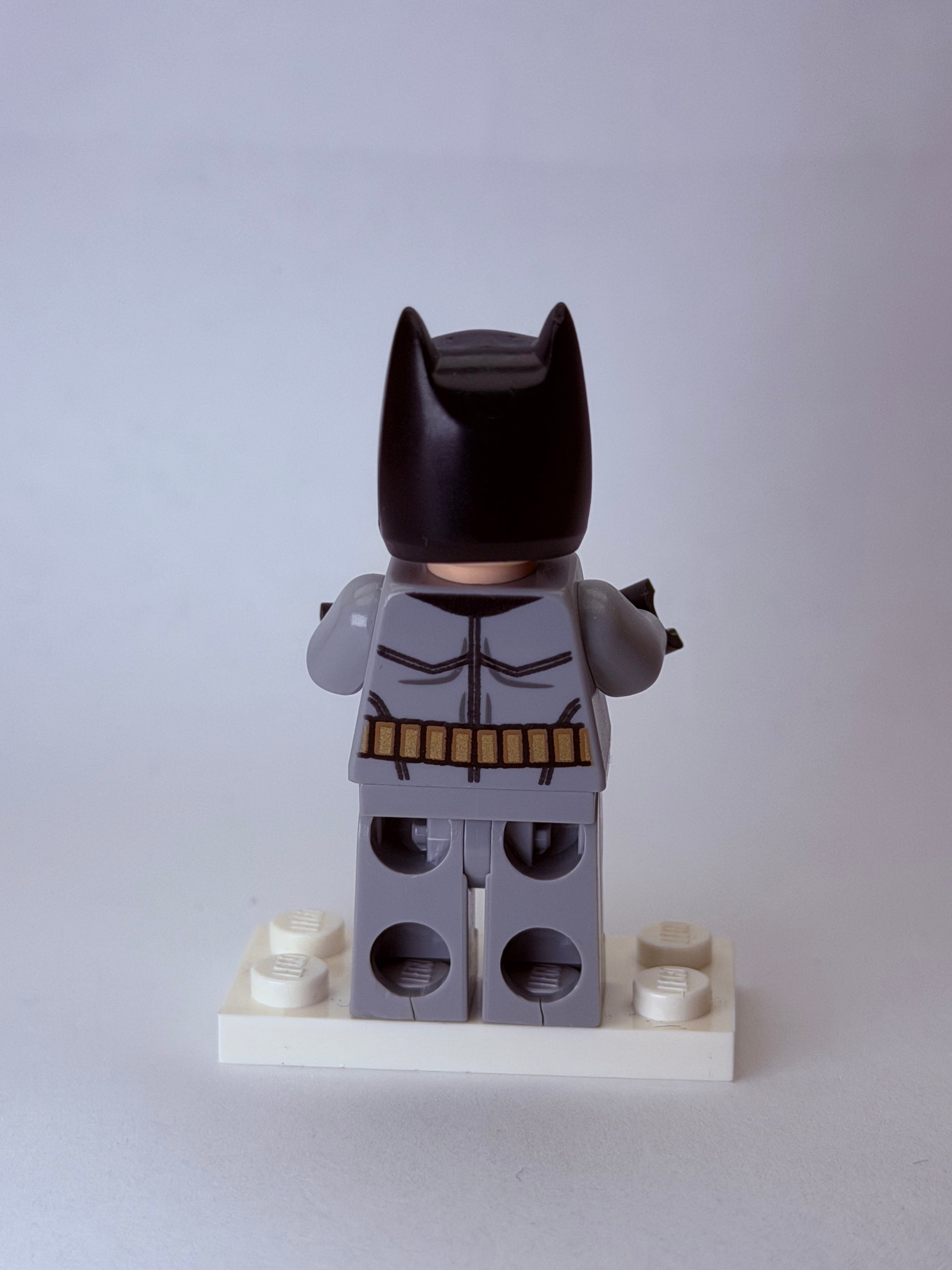 Batman - (No Flippers or Suba Mask) - sh0559