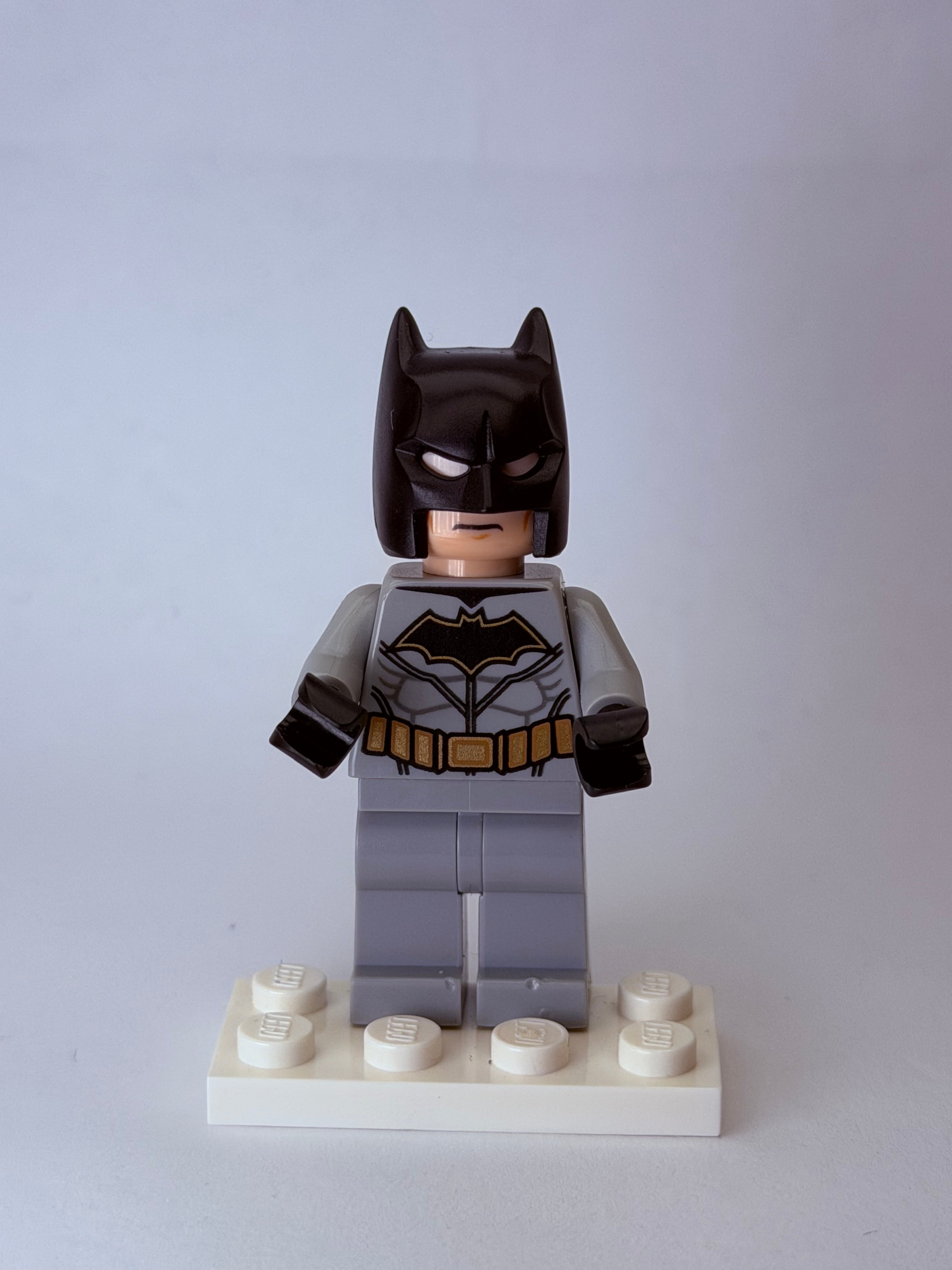 Batman - (No Flippers or Suba Mask) - sh0559