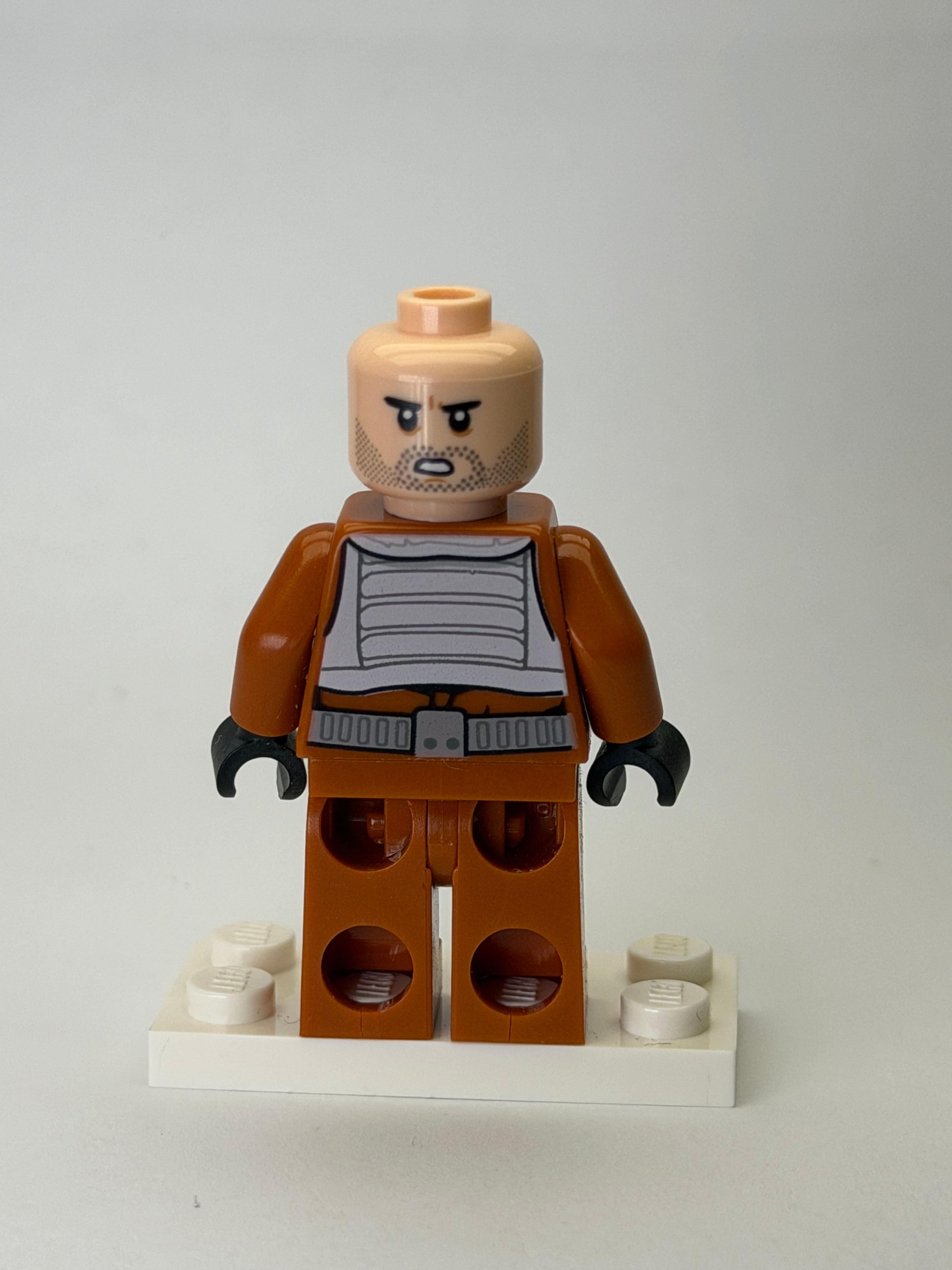 Poe Dameron - sw0658