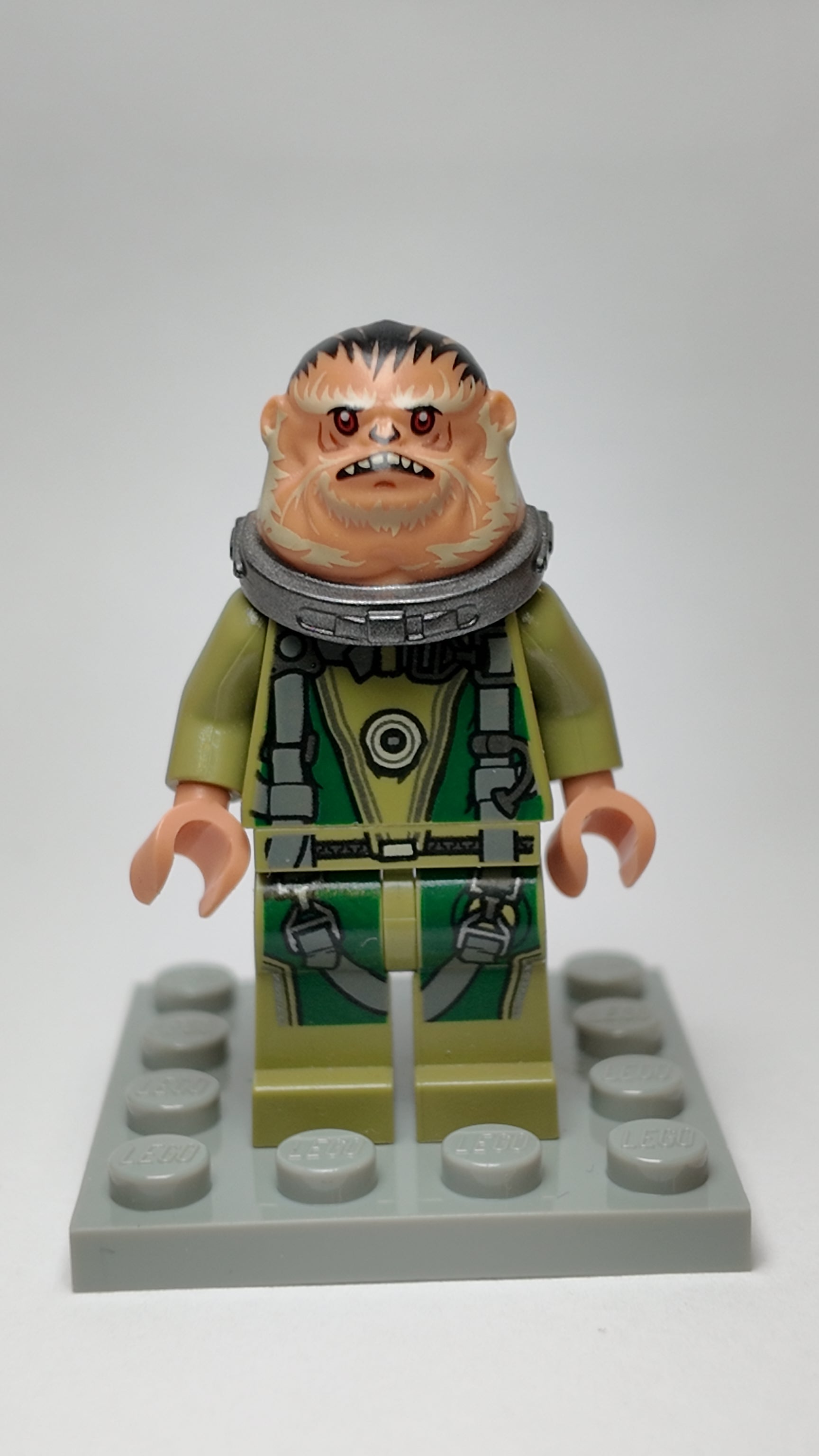 Bistan (Minor Cracking) - sw0780